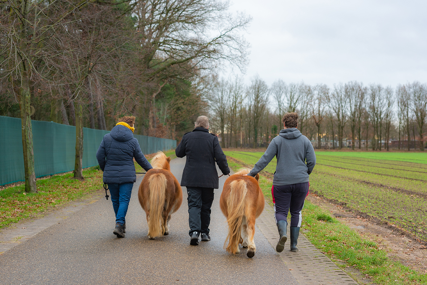 Dagbesteding_wandelen_ponys_web